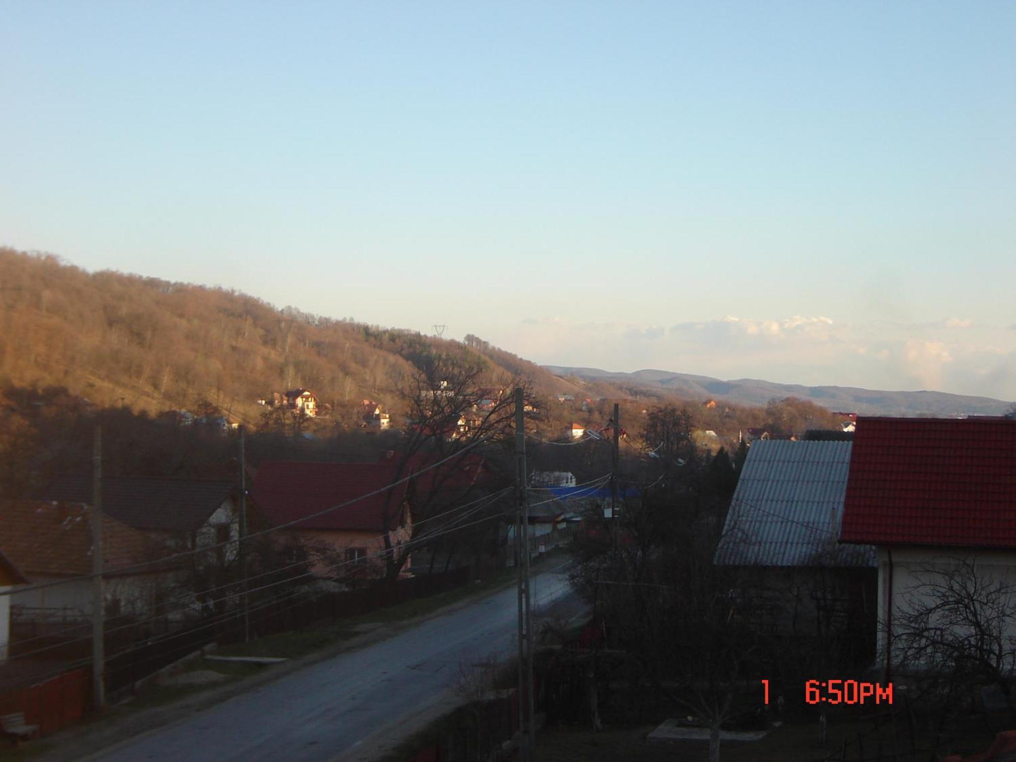 Pensiunea Nicky Oestii Ungureni Exterior foto