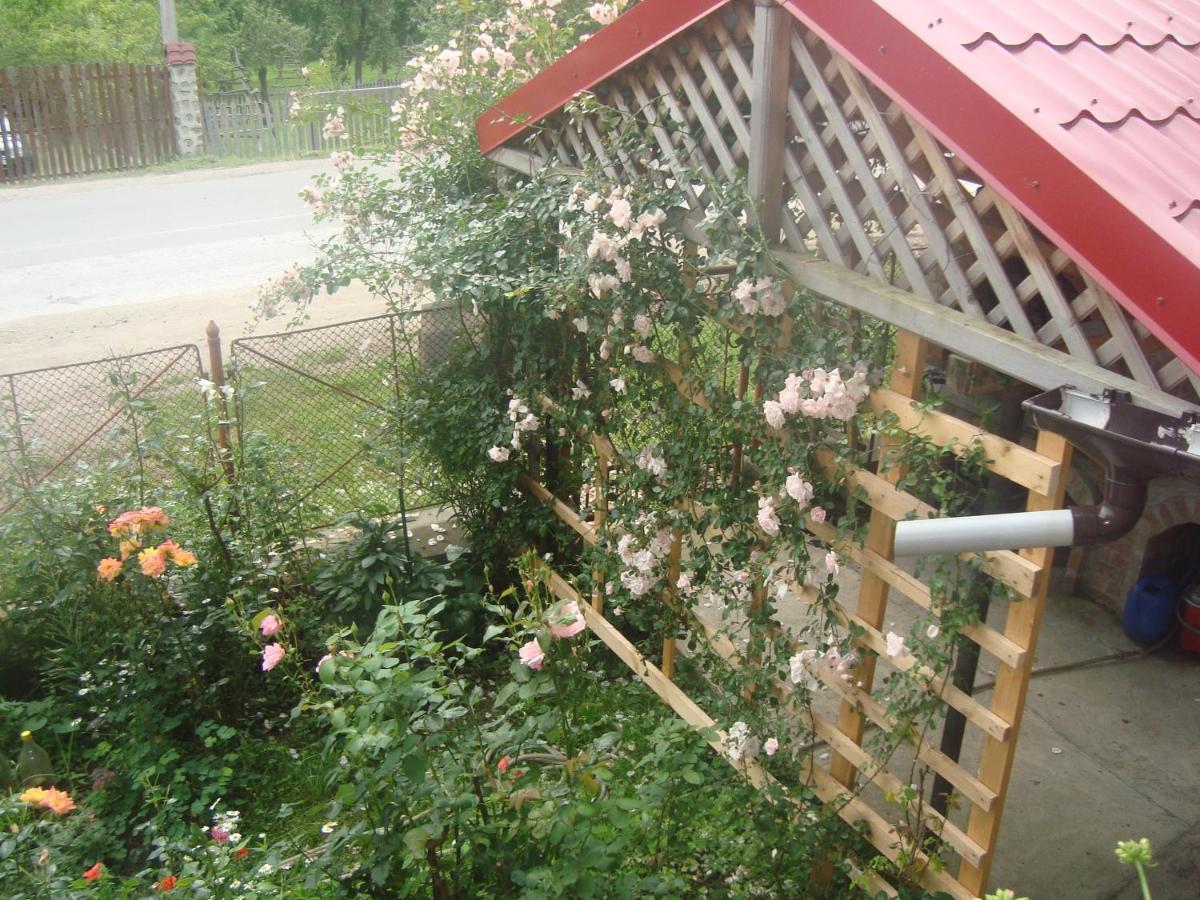 Pensiunea Nicky Oestii Ungureni Exterior foto