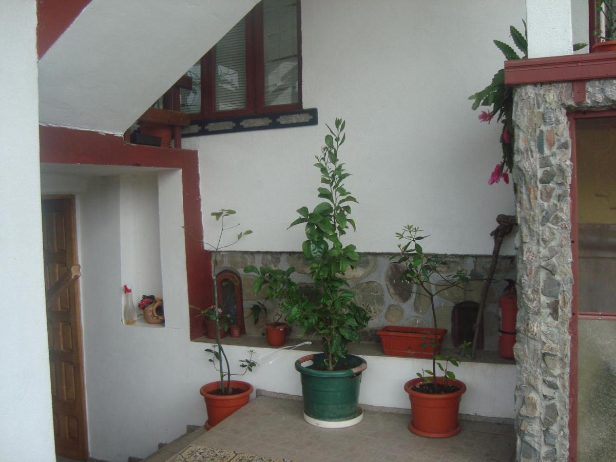 Pensiunea Nicky Oestii Ungureni Exterior foto